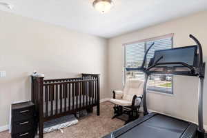 Bedroom with carpet flooring and a nursery area