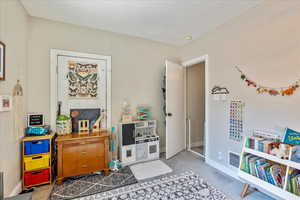 Playroom featuring carpet flooring