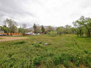 View of yard featuring a mountain view and a rural view