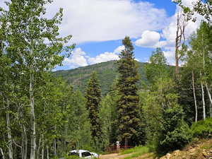 Photo 1 of 84  MOUNTAIN SPRINGS DR