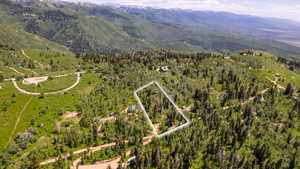 Photo 9 of 84  MOUNTAIN SPRINGS DR