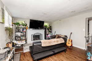 Living room featuring a fireplace and wood-type flooring