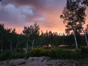 View of nature at dusk