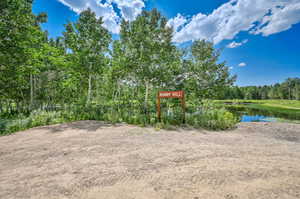 View of yard with a water view