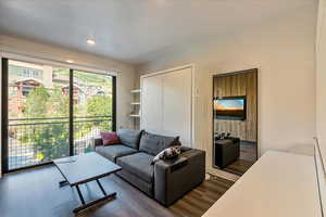 Living room with dark hardwood / wood-style floors