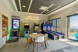 Game room featuring carpet floors and a raised ceiling