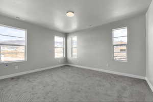 Carpeted spare room with a wealth of natural light