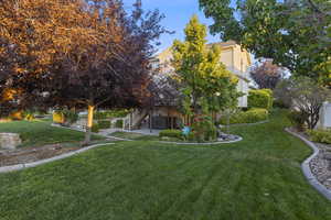 View of the house from rightside  of backyard