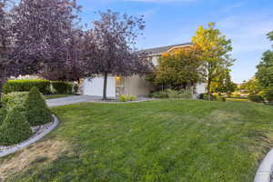 Generous front and side yard with lots of mature trees