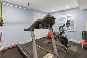 Basement Guest Bedroom