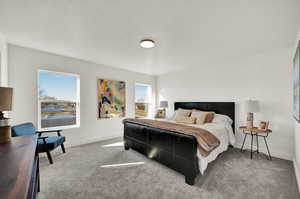 Carpeted bedroom with a textured ceiling and multiple windows