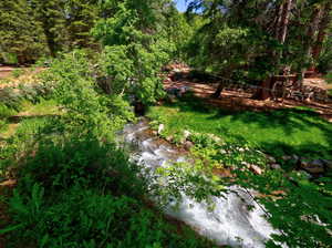 Path to the river below