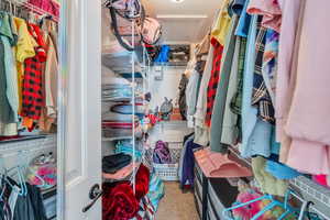 Walk in closet with carpet flooring