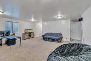 Living room with light colored carpet and a textured ceiling