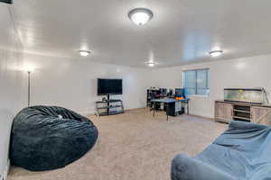 Living room featuring light colored carpet and a textured ceiling