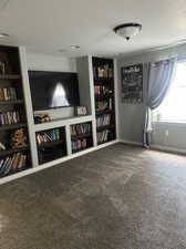 Basement family room, built in shelves / entertainment center