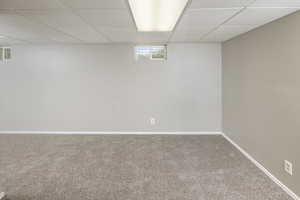 Basement with carpet and a paneled ceiling