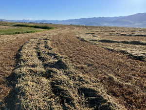 View of mountain feature featuring a rural view