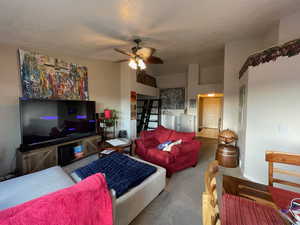 Carpeted living room with ceiling fan, separate washer and dryer, and a textured ceiling