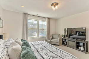 Bedroom with carpet flooring