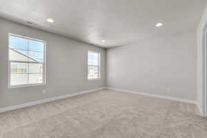 Empty room featuring light carpet, a wealth of natural light, and a textured ceiling