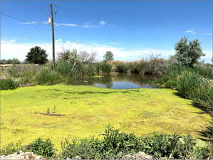 View of yard featuring a water view