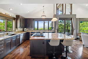 Kitchen with dark hardwood / wood-style floors, a healthy amount of sunlight, sink, and stainless steel appliances