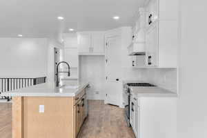 Kitchen with stainless steel appliances, light hardwood / wood-style floors, white cabinetry, sink, and a kitchen island with sink