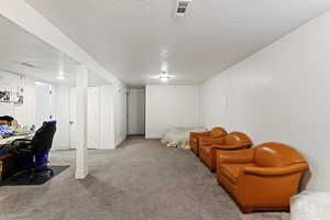 Home office featuring carpet floors and a textured ceiling