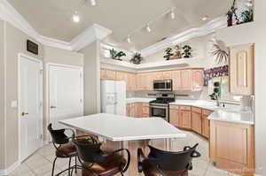 Kitchen featuring appliances with stainless steel finishes, crown molding, vaulted ceiling, and track lighting