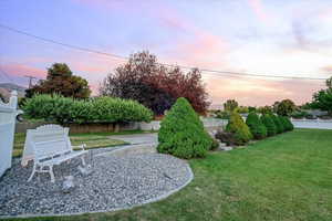 View of yard at dusk