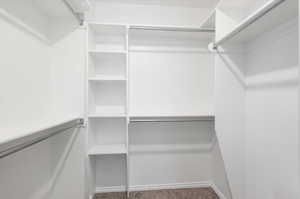 Spacious closet featuring carpet flooring