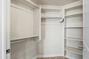 Spacious closet featuring carpet floors