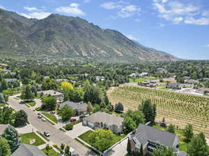 Drone / aerial view with a mountain view