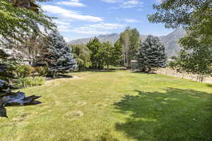 View of yard with a mountain view