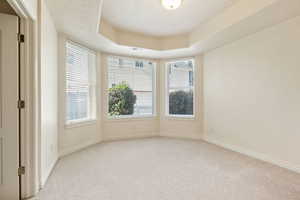 Carpeted empty room with a raised ceiling