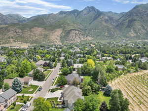 Aerial view with a mountain view