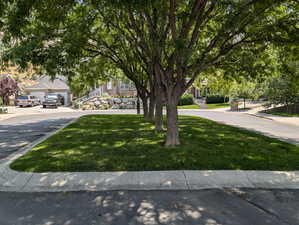 HOA common area