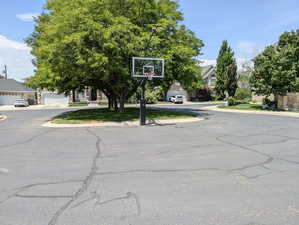 HOA basketball hoop