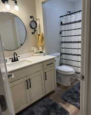 Bathroom featuring toilet, vanity, wood-type flooring, and a shower with shower curtain