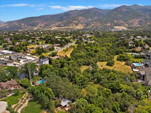 Aerial view with a mountain view