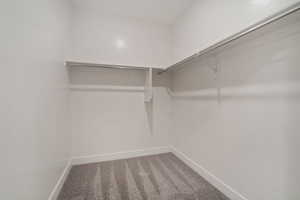 Walk in closet with carpet