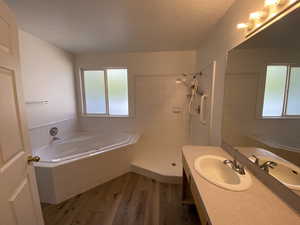 Bathroom featuring vanity, hardwood / wood-style floors, a textured ceiling, and plenty of natural light