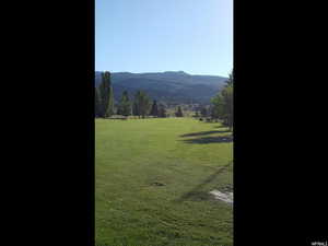 Photo 16 of 72  M. JUNIPER DR