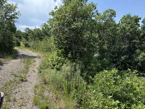 Photo 8 of 72  M. JUNIPER DR