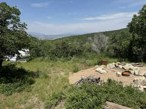 Photo 7 of 72  M. JUNIPER DR