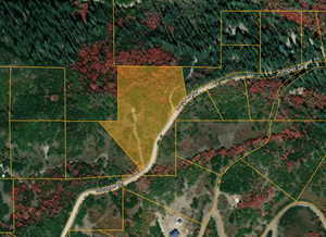 Photo 4 of 72  M. JUNIPER DR