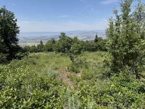 Photo 3 of 72  M. JUNIPER DR