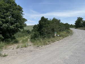 Photo 6 of 72  M. JUNIPER DR