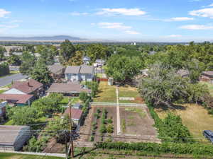 Aerial view of backyard and garden